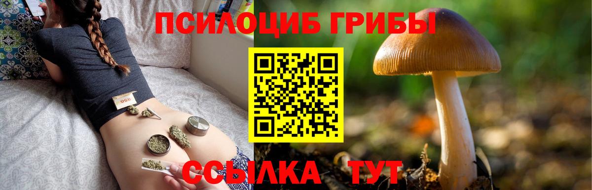 Галлюциногенные грибы MAGIC MUSHROOMS  Вход с VPN  купить  сайты  Котовск 